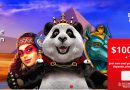 Royal Panda Casino India