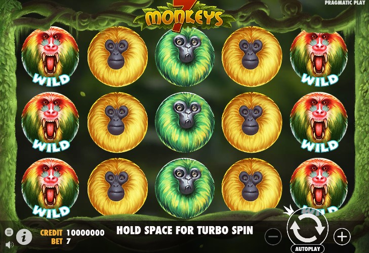 Play 7 Monkeys in India
