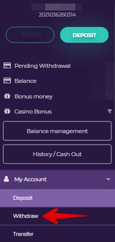 Betzest Withdrawal Guide 01