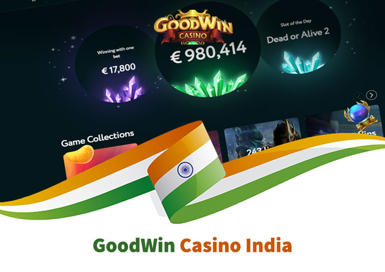 goodwin review india