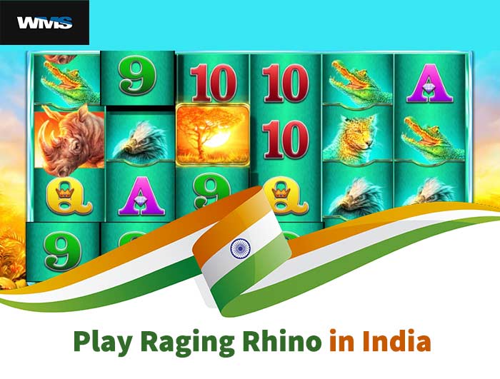 Raging Rhino in india