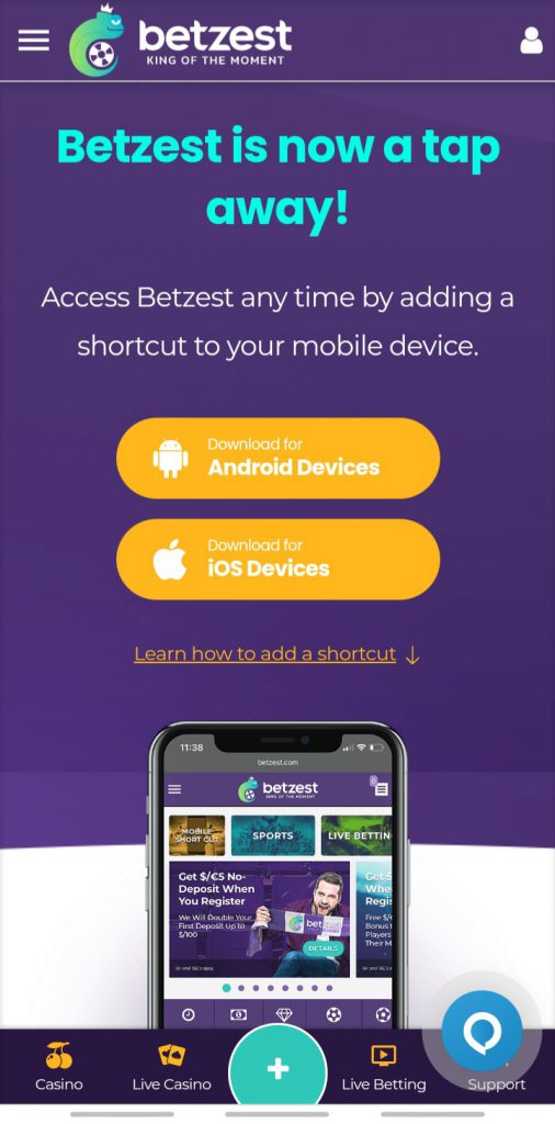 Betzest app download